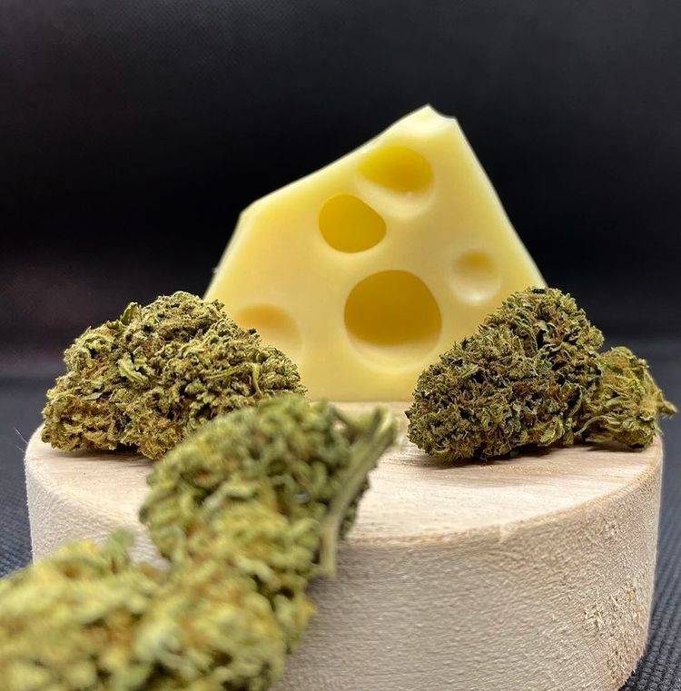 fleurs : Cheese
