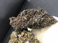 fleurs : Purple