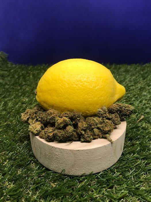 fleurs : lemon