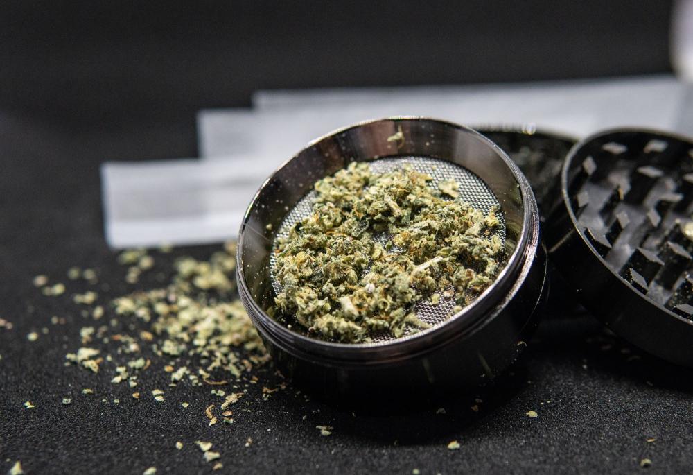 fleurs de cannabis dans grinder